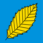 Drapeau communal : Alto Malcantone