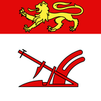 Drapeau communal : Aranno