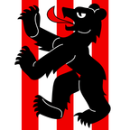 Drapeau communal : Bäriswil
