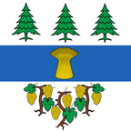 Drapeau communal : Begnins