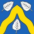 Drapeau communal : Bioley-Magnoux