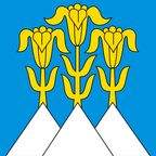 Drapeau communal : Blumenstein