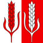 Drapeau communal : Bretonnières