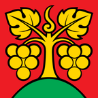 Drapeau communal : Bühl