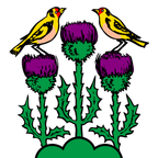 Drapeau communal : Chardonne