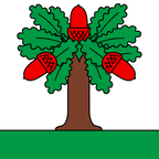 Drapeau communal : Chêne-Pâquier