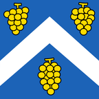 Drapeau communal : Chigny