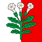 Drapeau communal : Corcelles-près-Payerne
