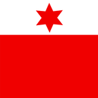 Drapeau communal : Dotzigen