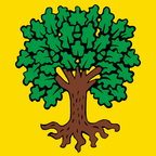 Drapeau communal : Echallens