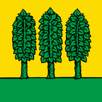 Drapeau communal : Genolier