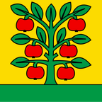 Drapeau communal : Grossaffoltern
