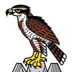 Drapeau communal : Habkern