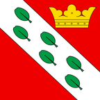 Drapeau communal : Herzogenbuchsee