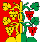 Drapeau communal : Hilterfingen