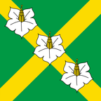 Drapeau communal : Jorat-Mézières