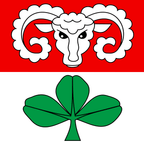 Drapeau communal : Kaufdorf
