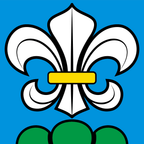 Drapeau communal : Lyss