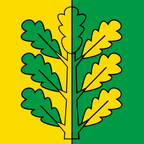 Drapeau communal : Mirchel