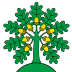 Drapeau communal : Montanaire