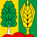 Drapeau communal : Müntschemier