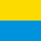 Drapeau communal : Muzzano