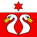 Drapeau communal : Niederhünigen