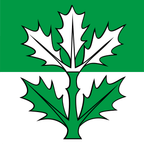 Drapeau communal : Oberbalm