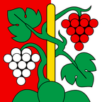 Drapeau communal : Oberhofen am Thunersee