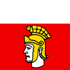 Drapeau communal : Poliez-Pittet