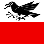 Drapeau communal : Rapperswil (BE)