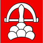 Drapeau communal : Ringgenberg (BE)