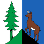 Drapeau communal : Roche (VD)