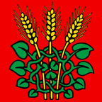 Drapeau communal : Roggwil (BE)