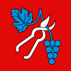 Drapeau communal : Tenero-Contra