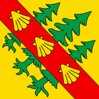 Drapeau communal : Treycovagnes