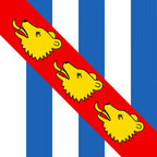 Drapeau communal : Ursins