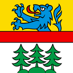 Drapeau communal : Wald (BE)