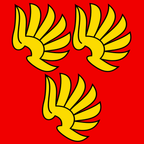 Drapeau communal : Wattenwil
