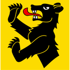 Drapeau communal : Zweisimmen